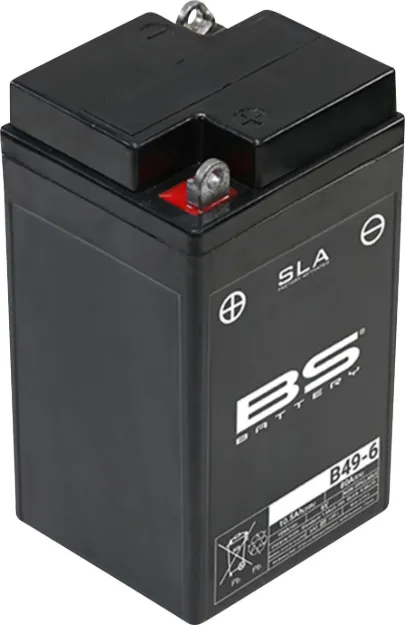 SLA Factory-Activated AGM Maintenance-Free Batteries