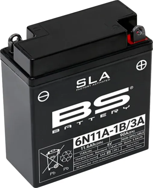 SLA Factory-Activated AGM Maintenance-Free Batteries