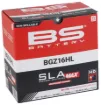 SLA MAX Factory- Activated AGM Maintenance-Free Battery