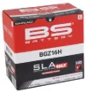 SLA MAX Factory- Activated AGM Maintenance-Free Battery