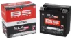 SLA MAX Factory- Activated AGM Maintenance-Free Battery