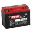 SLA Factory-Activated AGM Maintenance-Free Batteries
