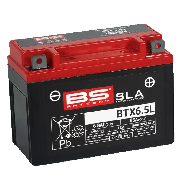 SLA Factory-Activated AGM Maintenance-Free Batteries