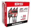SMART Bank Battery Charger and Maintainer with Reconditioning Function