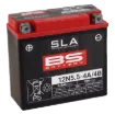 Maintenance-Free Battery