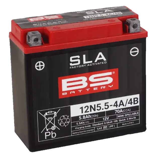 Maintenance-Free Battery