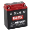 Maintenance-Free Battery