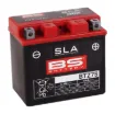 SLA Factory-Activated AGM Maintenance-Free Batteries