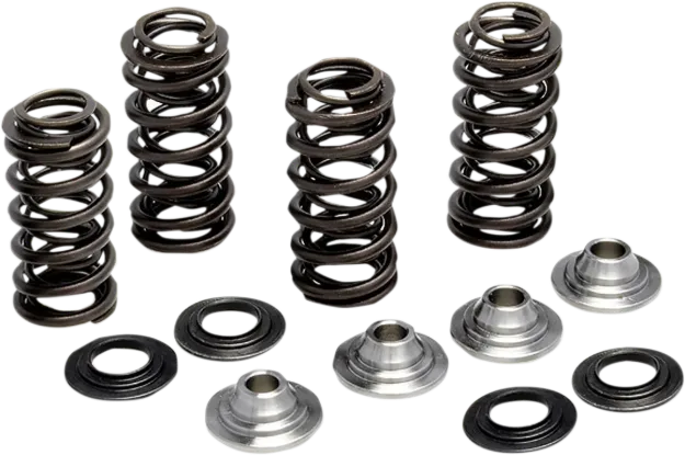 Valve Spring Kit