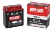 SLA Factory-Activated AGM Maintenance-Free Batteries