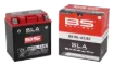 SLA Factory-Activated AGM Maintenance-Free Batteries