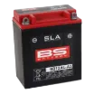 SLA Factory-Activated AGM Maintenance-Free Batteries