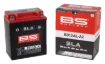 SLA Factory-Activated AGM Maintenance-Free Batteries