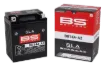 SLA Factory-Activated AGM Maintenance-Free Batteries