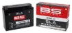 SLA Factory-Activated AGM Maintenance-Free Batteries