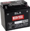 SLA Factory- Activated AGM Maintenance-Free Battery