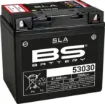 SLA Factory- Activated AGM Maintenance-Free Battery