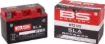 SLA Factory- Activated AGM Maintenance-Free Battery