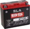 SLA Factory- Activated AGM Maintenance-Free Battery