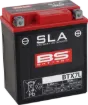 SLA Factory- Activated AGM Maintenance-Free Battery