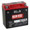 SLA Factory-Activated AGM Maintenance-Free Batteries