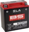 SLA Factory- Activated AGM Maintenance-Free Battery