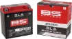 SLA Factory- Activated AGM Maintenance-Free Battery
