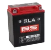 SLA Factory-Activated AGM Maintenance-Free Batteries