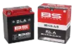 SLA Factory-Activated AGM Maintenance-Free Batteries