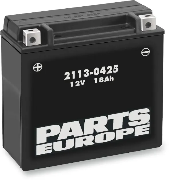 High Performance AGM Maintenance-Free Battery
