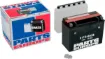 High Performance AGM Maintenance-Free Battery