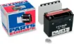 High Performance AGM Maintenance-Free Battery