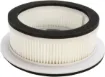 Scooter Air Filter