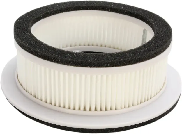 Scooter Air Filter
