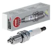 Iridium Spark Plug