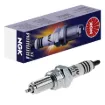 Iridium IX Spark Plug