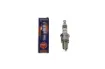 Iridium IX Spark Plug