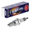Iridium IX Spark Plug