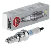 Iridium Spark Plug