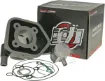 Cylinder Kit 50cc for Peugeot vertical LC
