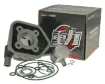 Cylinder Kit 50cc for Peugeot vertical LC