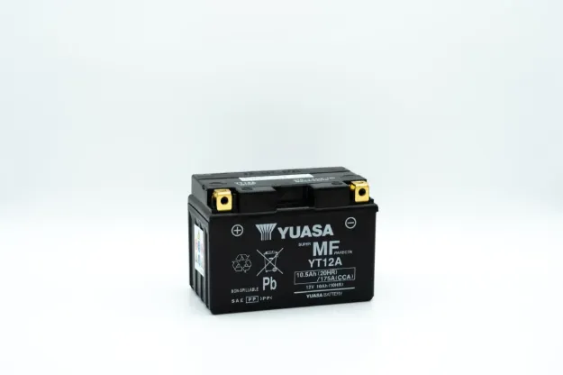 Maintenance-Free Battery