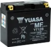 Maintenance-Free Battery