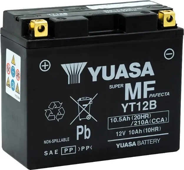 Maintenance-Free Battery