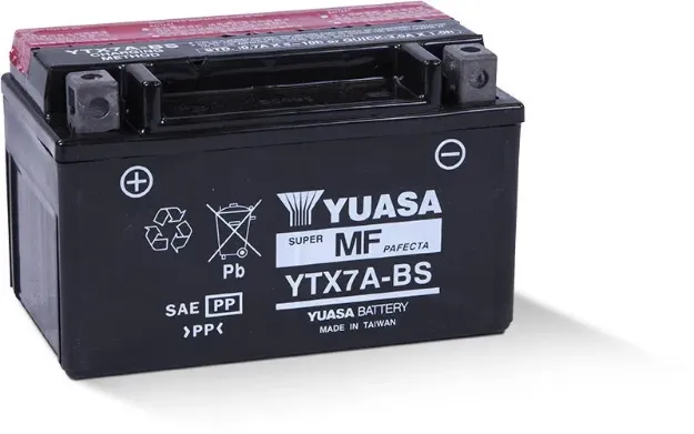 Maintenance-Free Battery