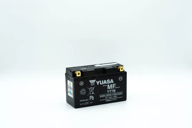 Maintenance-Free Battery