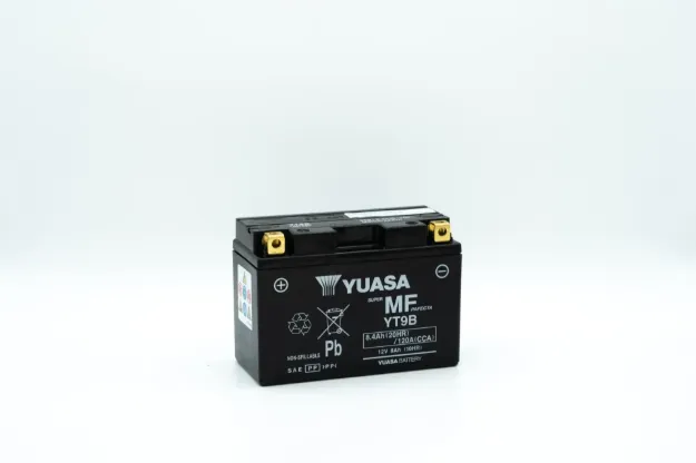 Maintenance-Free Battery