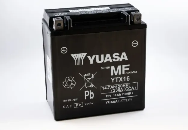 Maintenance-Free Battery
