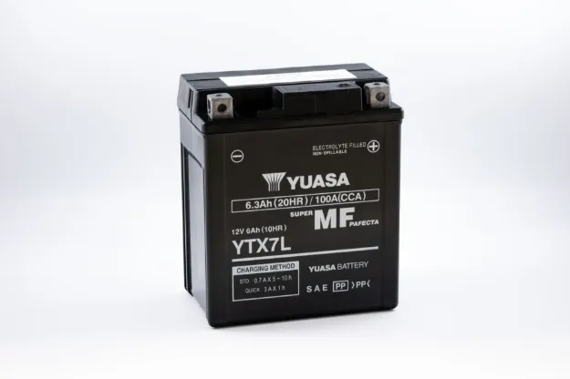 Maintenance-Free Battery