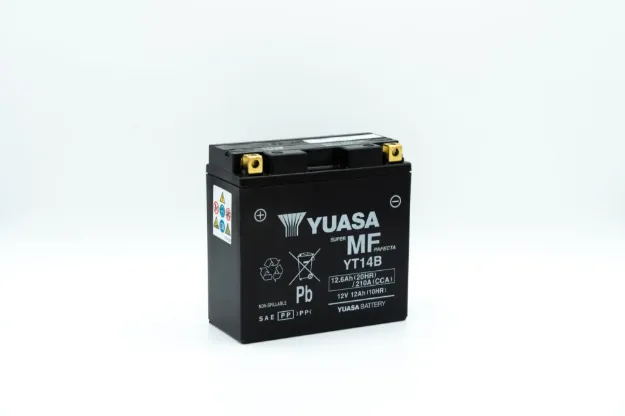 Maintenance-Free Battery